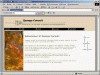 spangeconsult.jpg (76107 byte)